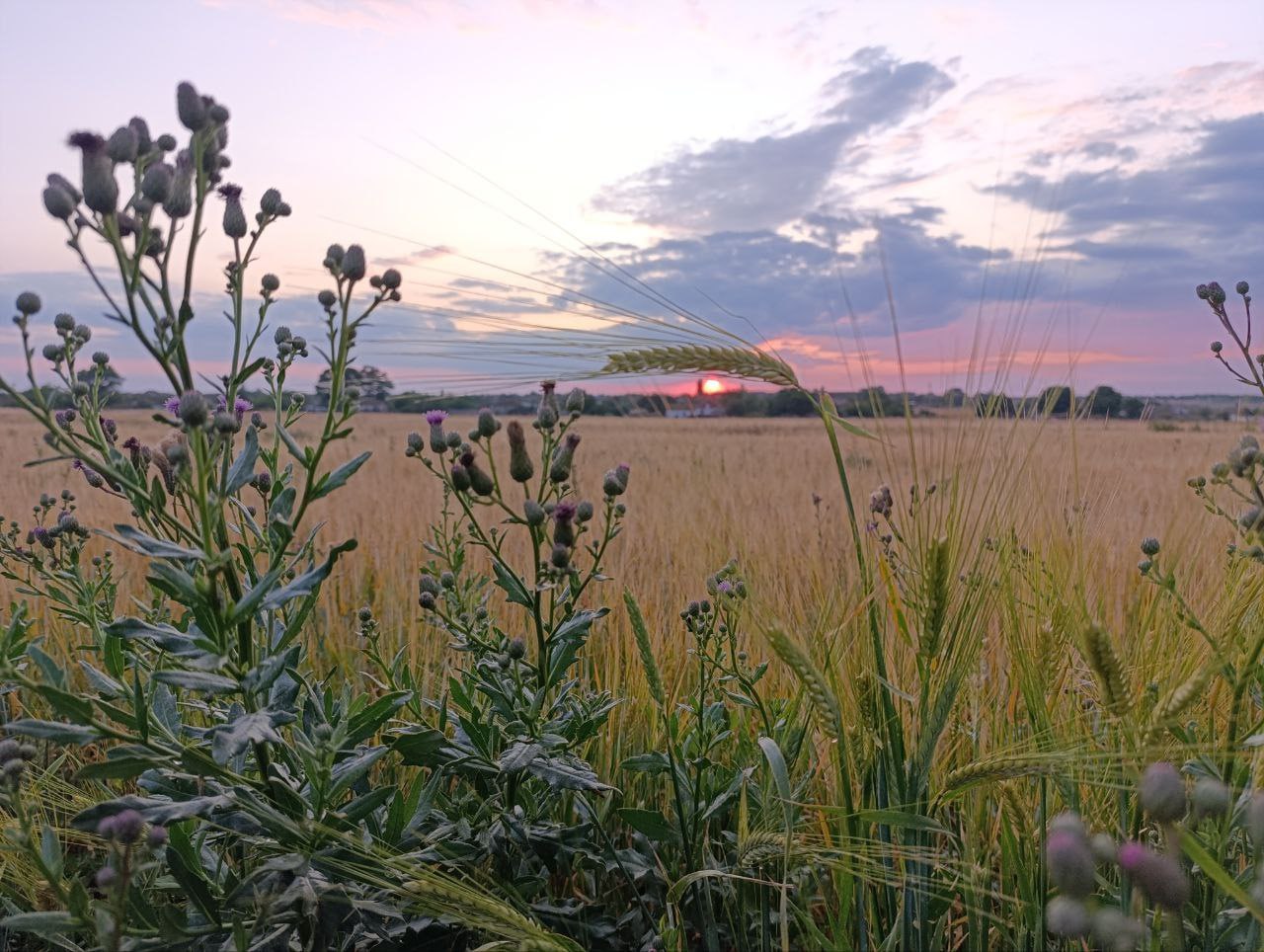 Голосование за лучшие фото от подписчиков «Южного фреша», первый этап: какая из работ пройдет в полуфинал? Голосование за лучшие фото от подписчиков «Южного фреша», первый этап: какая из работ пройдет в полуфинал?