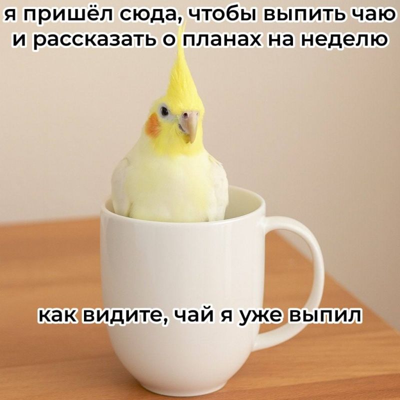 ������� ���� ���, � ��� ������, ����� ����� �������� ������� �������� ������� � ���������� ���� ����� �� ������