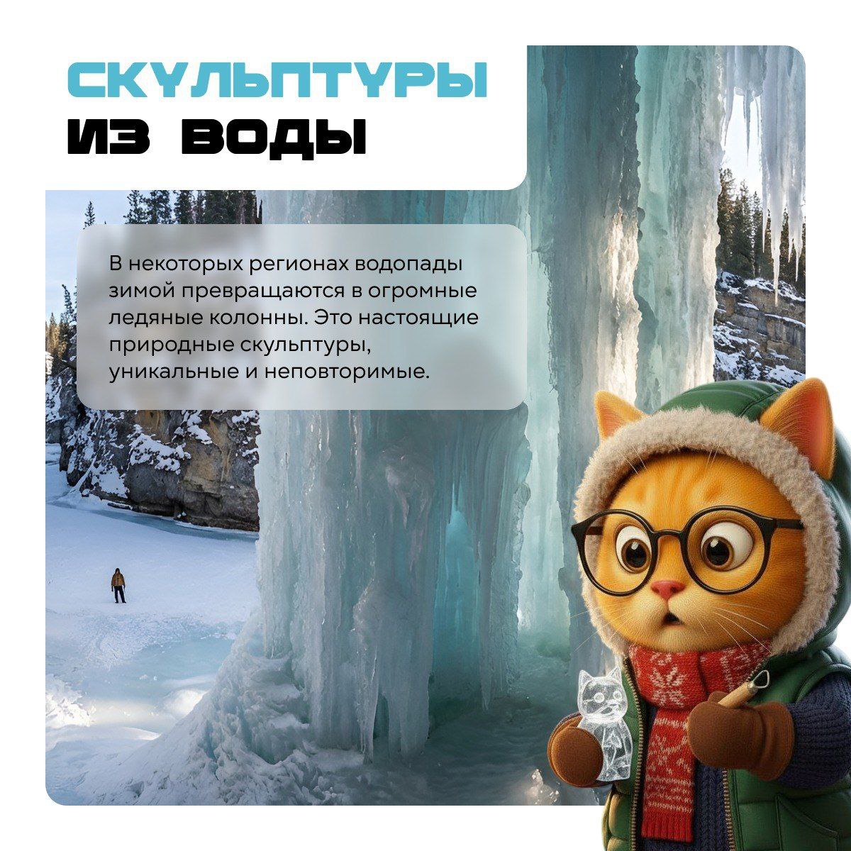 Зима — это не просто холод и короткие дни Зима — это не просто холод и короткие дни