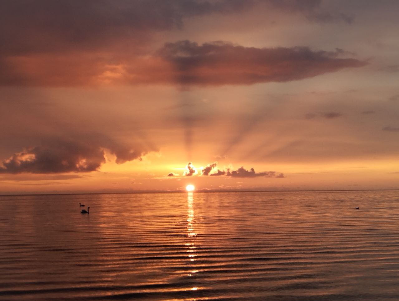 Голосование за лучшие фото от подписчиков «Южного фреша», первый этап: какая из работ пройдет в полуфинал? Голосование за лучшие фото от подписчиков «Южного фреша», первый этап: какая из работ пройдет в полуфинал?