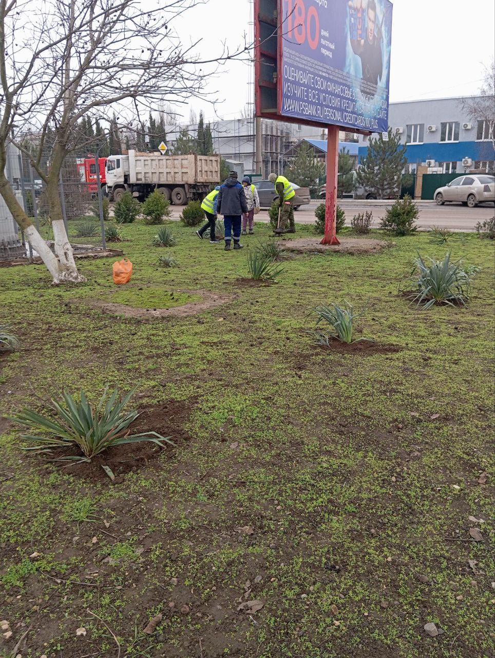Евгения Кузьменко: К наступлению зимы наши сотрудники по благоустройству успели завершить важные работы: в Новотроицком муниципальном округе высадили молодые деревья и растения юкки Евгения Кузьменко: К наступлению зимы наши сотрудники по благоустройству успели завершить важные работы: в Новотроицком муниципальном округе высадили молодые деревья и растения юкки