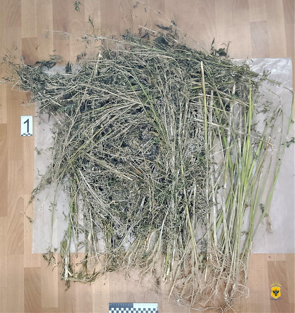 Житель Чаплинского округа признан судом виновным в незаконном обороте наркотических веществ Житель Чаплинского округа признан судом виновным в незаконном обороте наркотических веществ