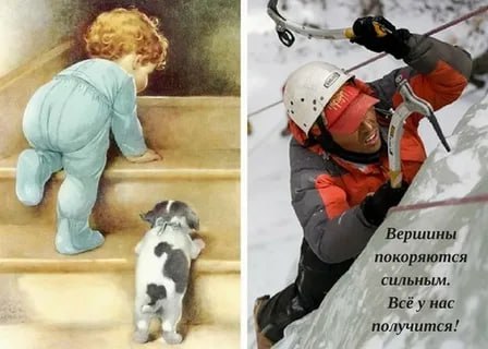 День покорения вершин: праздник тех, кто не боится высоты День покорения вершин: праздник тех, кто не боится высоты