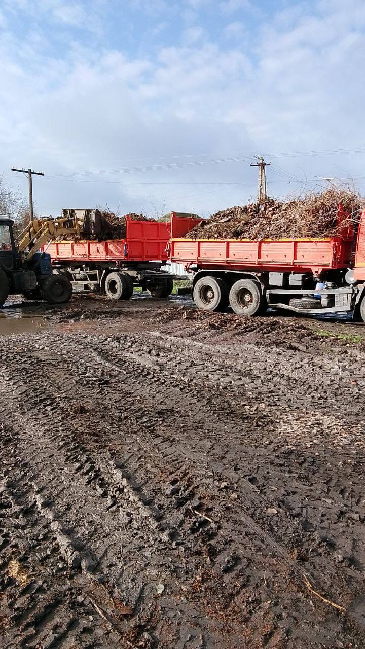 15 декабря: рабочие будни в Геническом округе — украшаем, убираем, создаём уют 15 декабря: рабочие будни в Геническом округе — украшаем, убираем, создаём уют