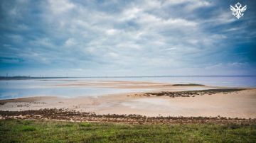 Владимир Сальдо назвал четыре приоритетные отрасли для инвестиций в Херсонской области