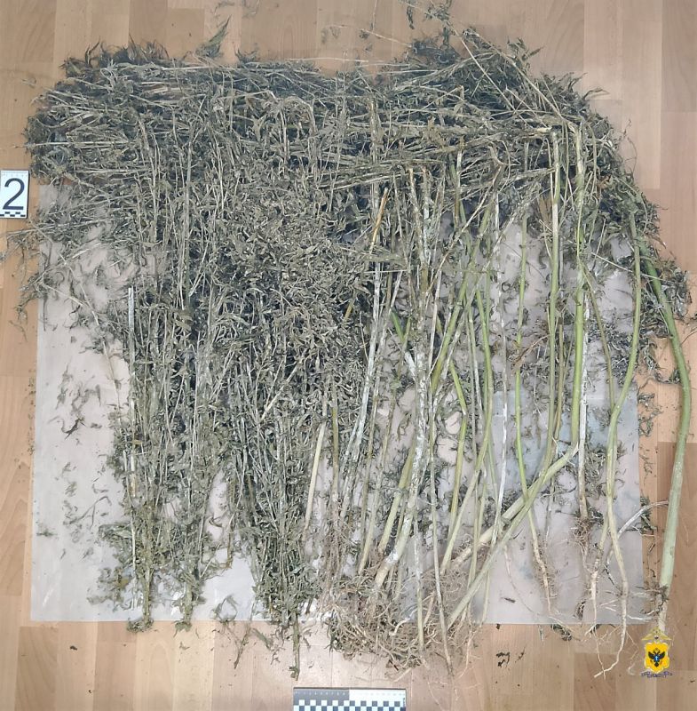 ������ ����������� ������ ���������� � ������� ������� �� ��������������� � �������� ������������� ���������