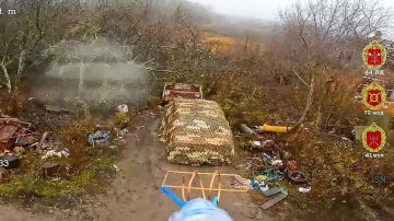 ���� �� �������: ������ ���� 41 ��� 44 ���������� ������� ��������� � ��������� ���������� ���, ��������������� ���������