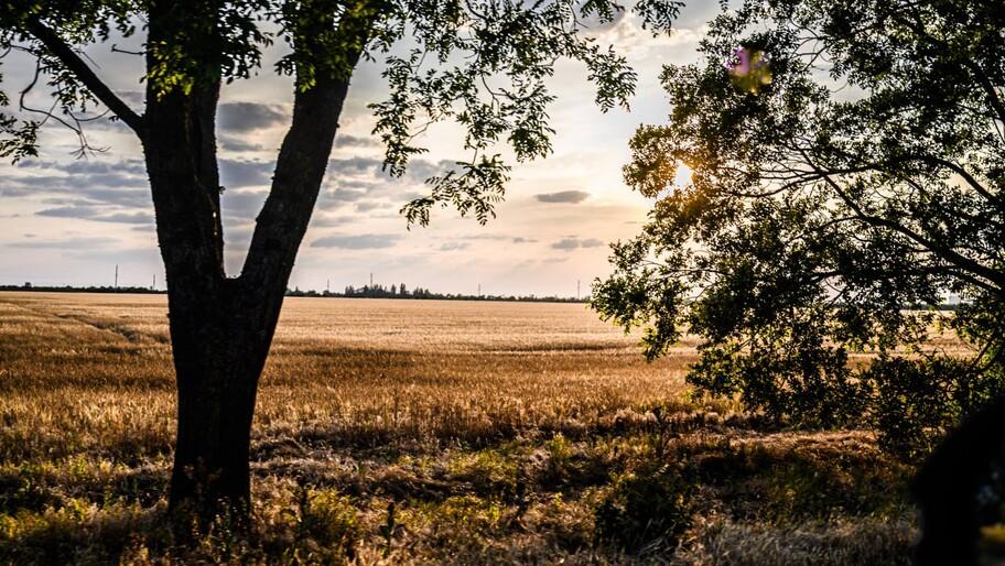 Адыгея поддержала духовную общину Херсонской области Адыгея поддержала духовную общину Херсонской области