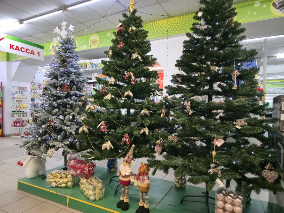 ������� ������ ��������� � ���������� �������