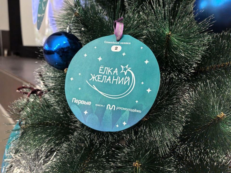 Министр культуры Херсонской области принял участие в «Ёлке желаний 2025» Министр культуры Херсонской области принял участие в «Ёлке желаний 2025»