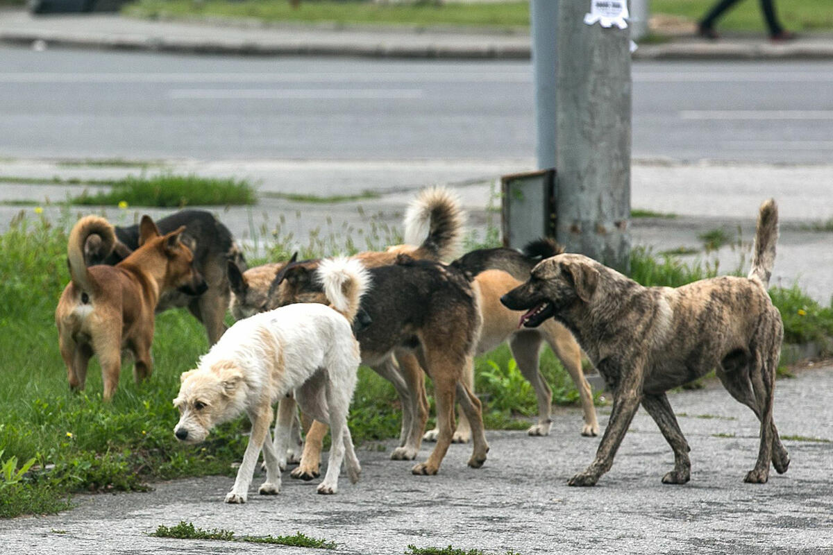 Уважаемые жители Скадовского муниципального округа!