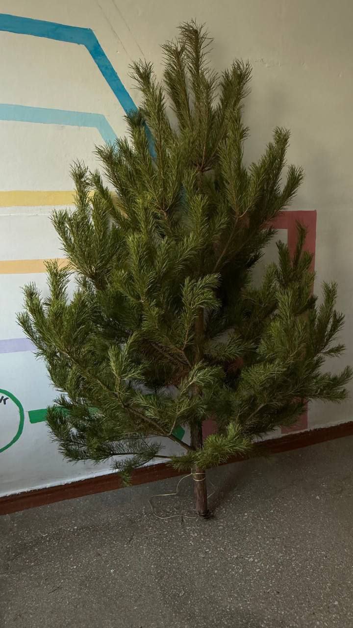 Новогодние приготовления в Горьковской школе Новогодние приготовления в Горьковской школе