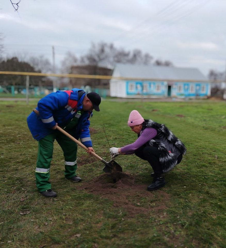 В селе Широкое высадили «Сад памяти» В селе Широкое высадили «Сад памяти»