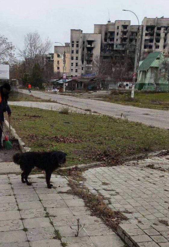 Украинские СМИ возмущаются в своих каналах видом разрушенных Алешек Украинские СМИ возмущаются в своих каналах видом разрушенных Алешек