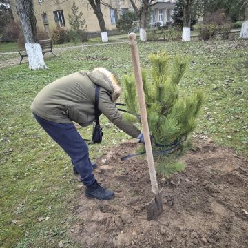 Благоустройство округа — на постоянной основе