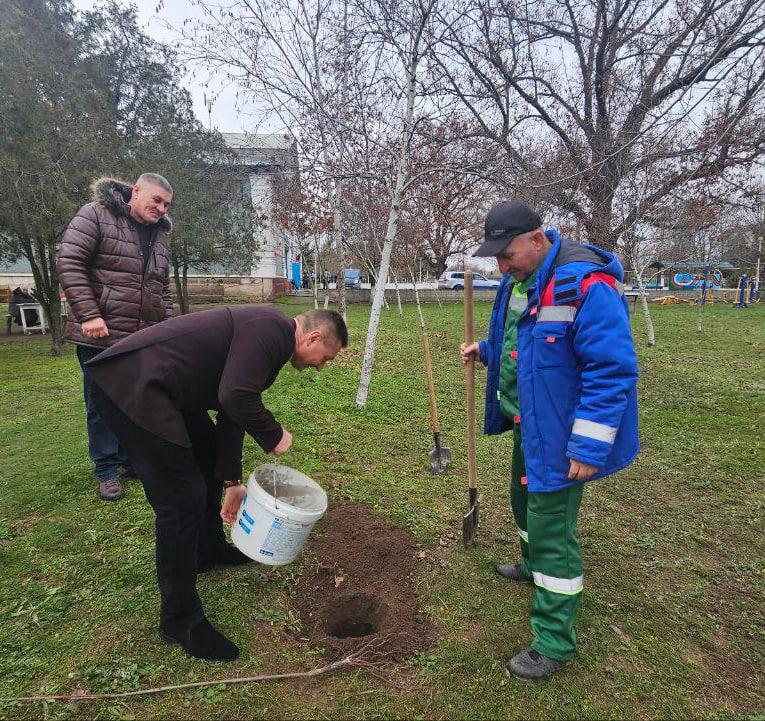 В селе Широкое высадили «Сад памяти» В селе Широкое высадили «Сад памяти»