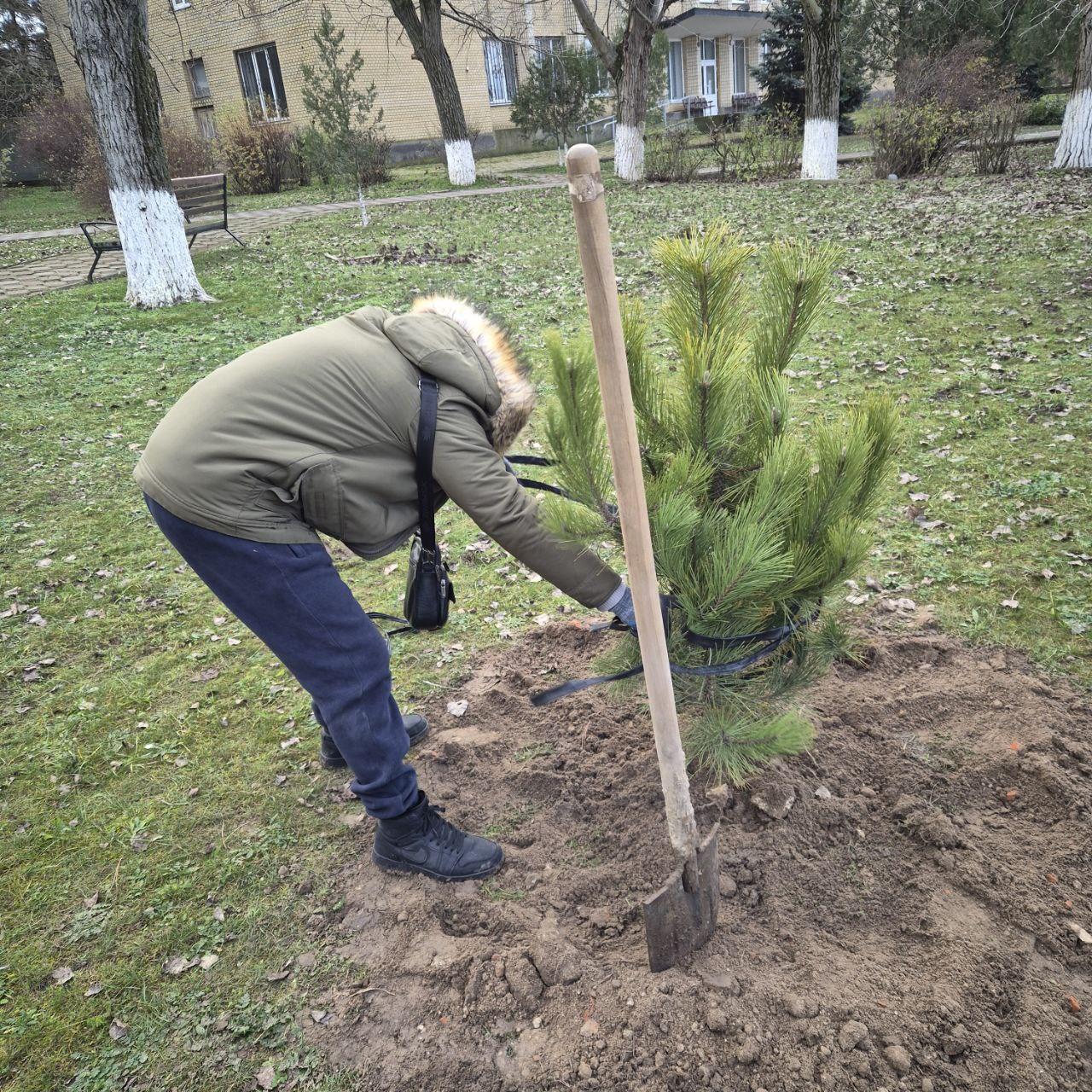 Благоустройство округа — на постоянной основе