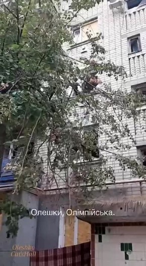 Украинские СМИ возмущаются в своих каналах видом разрушенных Алешек