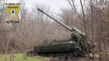 Расчеты САУ «Гиацинт-С» группировки войск «Днепр» уничтожил полевой склад боеприпасов ВСУ в Запорожской области