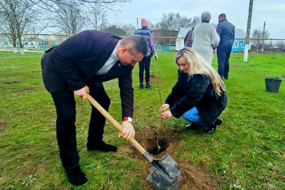 ����� ������ � ���������� �����