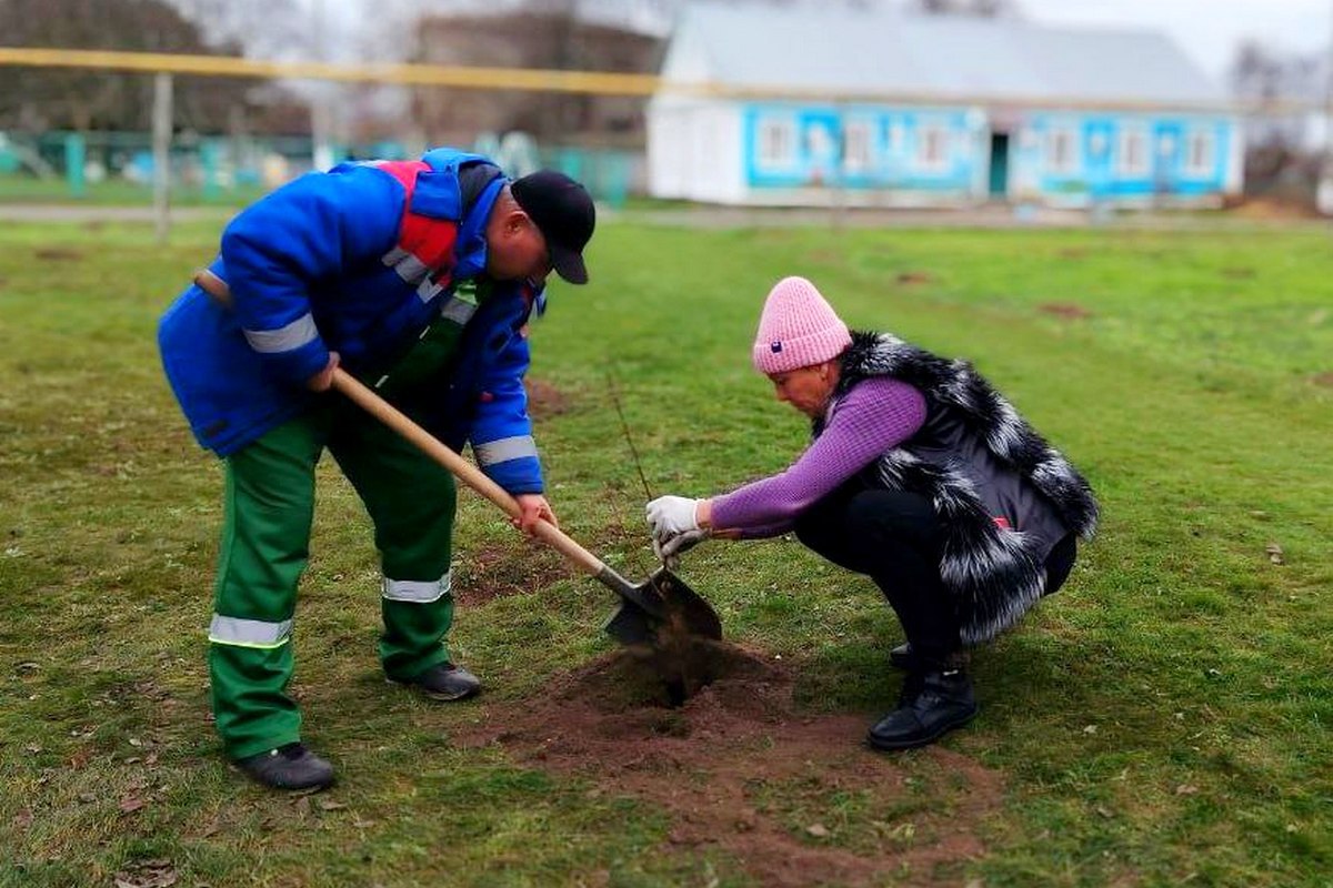 Корни памяти в скадовской земле Корни памяти в скадовской земле