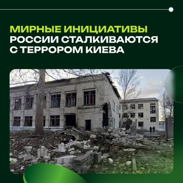 Херсонская область: мирные инициативы России сталкиваются с террором Киева