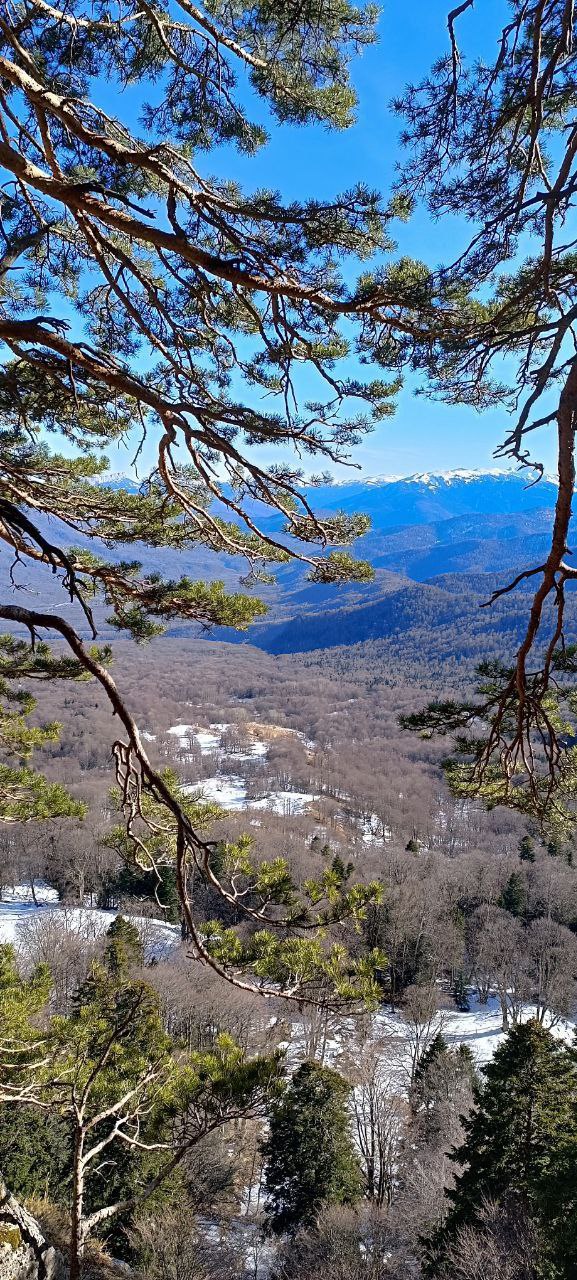 Доброе Утро!. Впереди Пятница — самый приятный день недели, завершающий рабочие будни, а это значит, что утро Пятницы должно встретить потрясающим настроением, солнцем и замечательной погодой