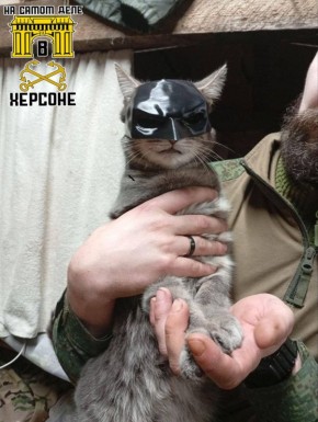 ��� ����� ���� � ����� ������ � ����������� �����������