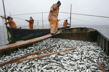 ����� ��������, ������ ����������� �� ���������� ���� �� ����