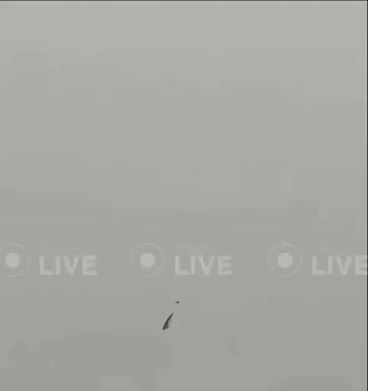 ��� ������ ��������� ������� ���������� ����