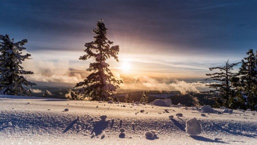 ����� ����������: ���� ������� �������������: ������ ����� � ����������