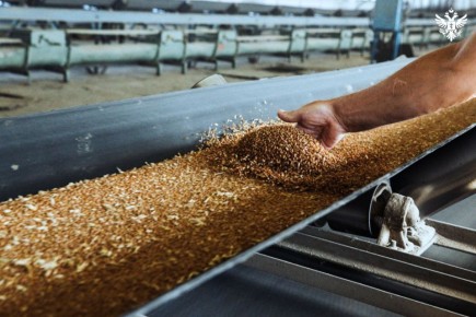 ����������� ���������� ������� ��������� ������ �������� �� 76%