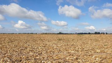 ����� 900 ��� ���. ��������� �������� ���������� ������� � ���� ��������