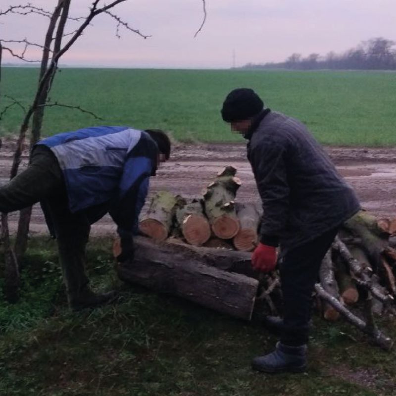 �������� ����� ������ � ����� ������������� ��������� � ������� #����������_����_���