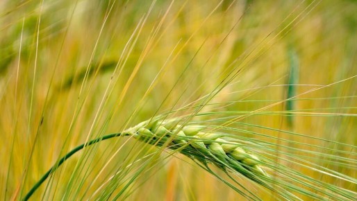 ����������� ��������� ����� � ������ ���������� �� ����������� � ���������� �������