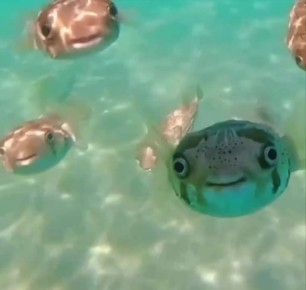 Херсонские рыбаки завершили год с солидным уловом: почти 700 тонн даров моря