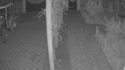 ������ ��������: �� �������� ������ � ����������� ������ ���������� ������� ���������� 6 ������ �������, ���� �� ��� �������