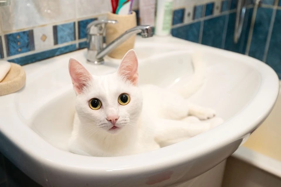 В Геническе из-за аварии на сетях временно отключили водоснабжение