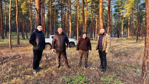 ������ ������ ������� � ��������������� ������ ��� ���������� ������� ����������