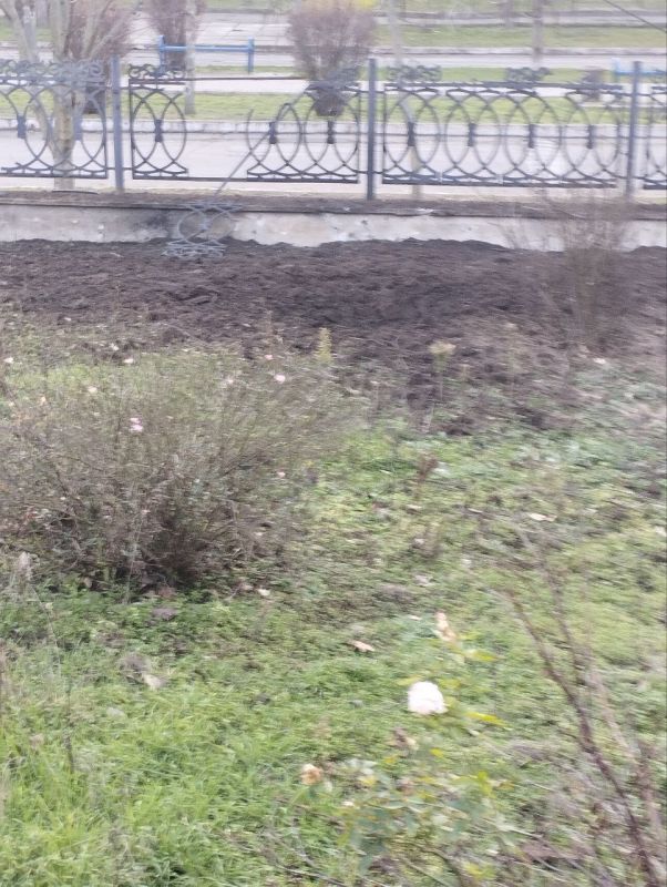 ����� ��������: �������. ������ ���. ������ �� ���� ����� � 5. ����������� ���������� ��������� ���� �� ������ �������������� ������ ������