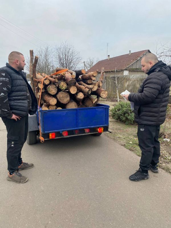 Усилен лесной патруль в Голопристанском районе для сохранения хвойных насаждений Усилен лесной патруль в Голопристанском районе для сохранения хвойных насаждений
