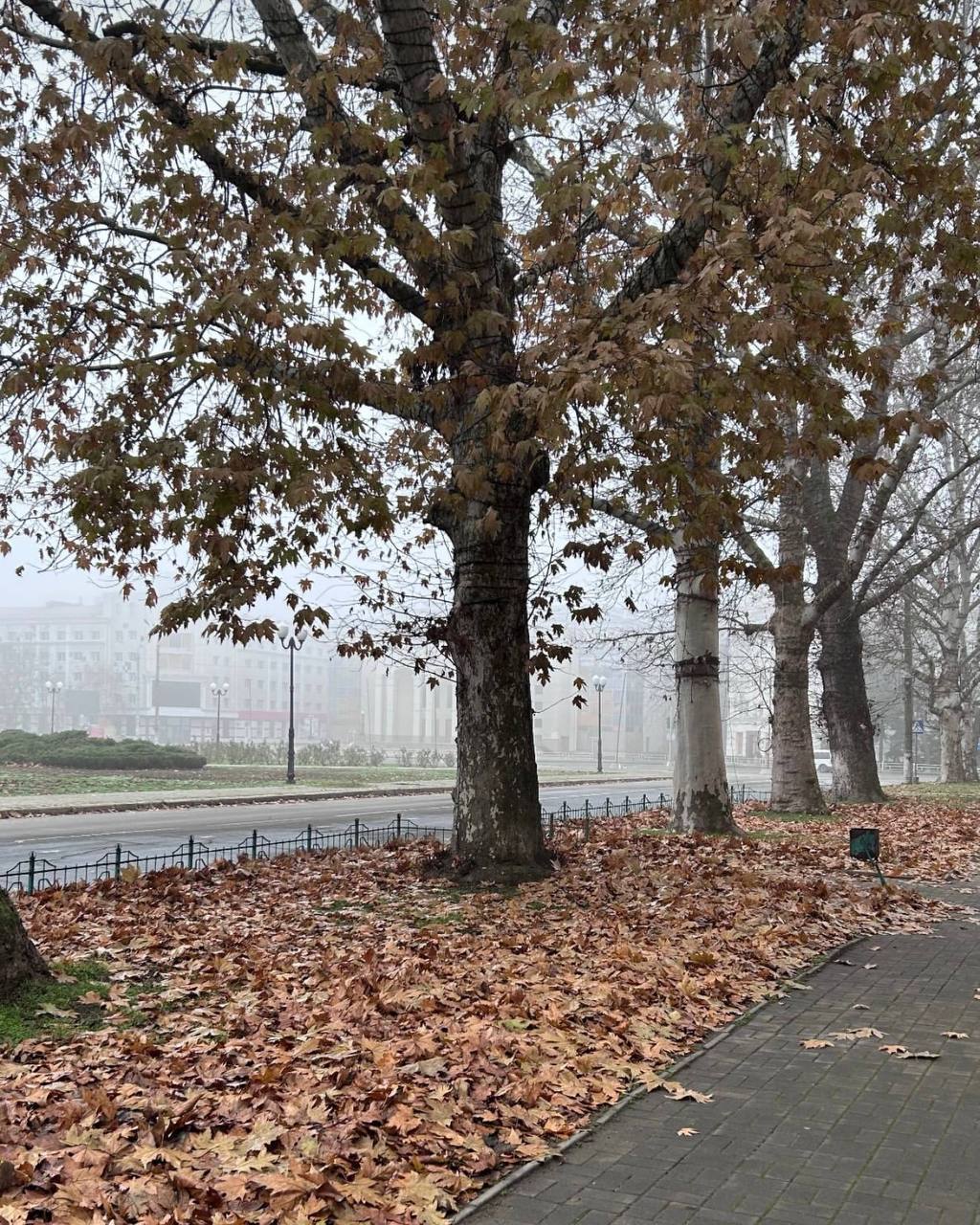 Свежие кадры из Херсона. Подпишись на Херсон.ру Свежие кадры из Херсона. Подпишись на Херсон.ру