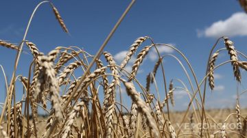 ������ ��������������� �������� ���������� ������� ���� ����� � �������� ������