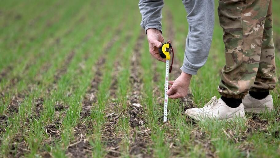 ������������� ������� ���������� ������� �����������, ����� �������� ����������� ����������