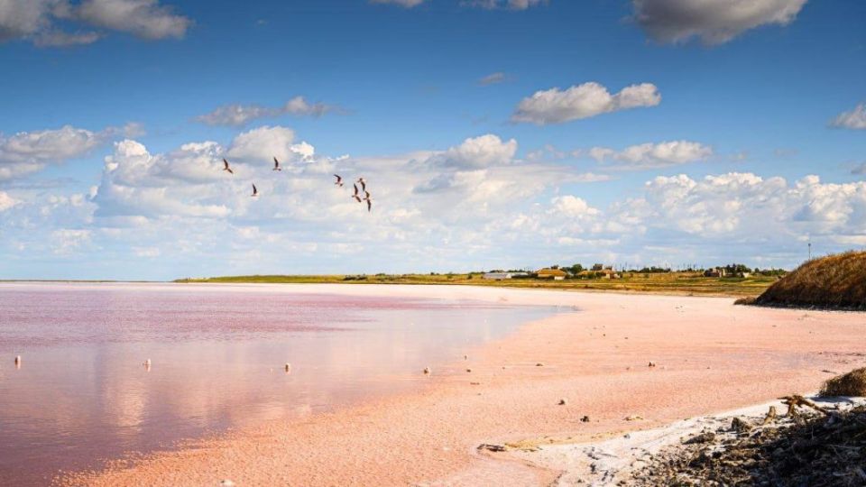 ��������������� ��������� �������� ������� � ��������� �������������� � ���������� ������� �� 2025�2030 ����