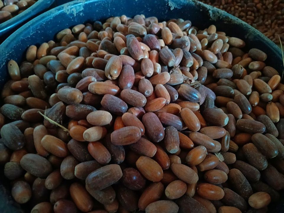 � ������ ��������� ������ ������ �� ������ ������� ���� �����������