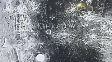 ������ ������ ���������� FPV-������ �� �������� ��� � �������