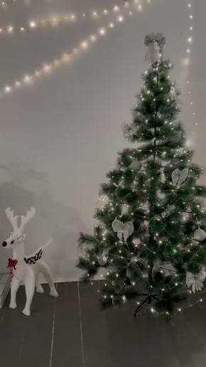 � ����������� ���������� ������� ����������� ���������