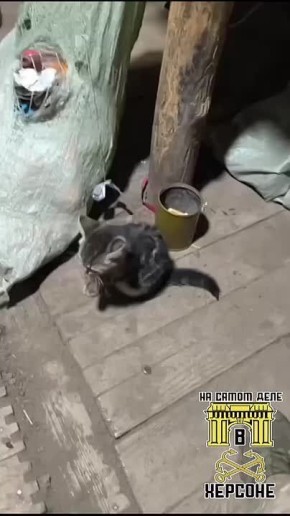 ��� ����� ������ ����� ����� ������ �� ����� �����������