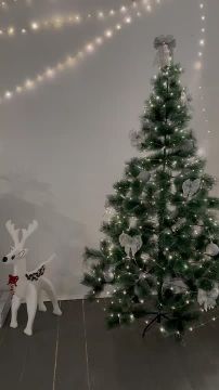 � ����������� ���������� ������� ����������� ���������